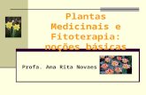 Noc3a7c3b5es de Fitoterapia e Plantas Medicinais