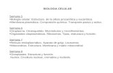 Biologia celular y Molecular (Biologia celular).ppt