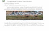 Relatório: Visita ao Aterro Sanitário de São Bento do Sul
