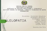 ALELOPATIA - seminário.pptx