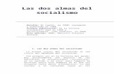 Las Dos Almas Del Socialismo