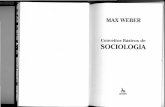 WEBER, Max. Conceitos Básicos de Sociologia.pdf