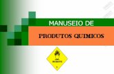Palestra_ Produtos Químicos.pdf