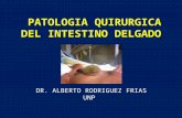 10. Patologia Quirurgica Del Intestino Delgado 2014