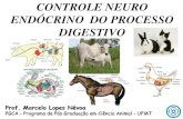 Controle Neuro Endocrino Do Processo Digestivo Aula Graduação Dada
