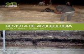Revista Arqueologia Volume 25-2-2012