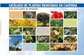 Catalogo Plantas Medicinais BBB-13-2011