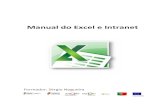 Manual Do Excel e Intranet