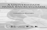 A Universidade Numa Encruzilhada