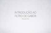 Review de Pesquisa - Introdução a Filtro de Gabor