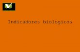 7.- indicadores biologicos 1.ppt