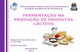 Fermentação na produção de produtos lácteos