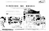 Fenicios No Brasil - Antiga História Do Brasil -De 1100 AC a 1500 DC - Parte 1 - Ludwig Schwennhagen