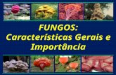 1797_Fungos - Caracteristicas Gerais e Importancia