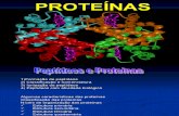 Aula 02 - Proteínas