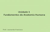 Unidade 1 Fundamentos Da Anatomia Humana- Prof Leonardo Francisco (1)