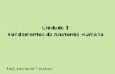 Unidade 1 Fundamentos Da Anatomia Humana- Prof Leonardo Francisco.ppt(2)
