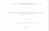 Neves - Estratégia Na Definição Do Negócio (Dissertação)