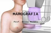 Mamografia Aula