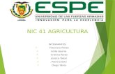 Nic 41 Agricultura