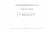 Tese Mestrado - Nabor Canilhas - Final.pdf