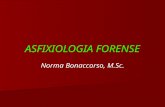 Asfxologia forense.ppt