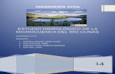 ESTUDIO HIDROLÓGICO  DE LA CUENCA DEL RIO CUNAS 1.pdf