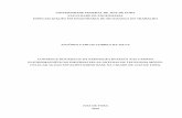 REV 5 - MONOGRAFIA DE SEGURANÇA DO TRABALHO - RNI --- FIM - ATUALIZAÇÃO DADOS FICHA CATALOGRÁFICAS (Reparado).pdf
