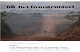 Folha - BR-163 Insustentável - Ciência