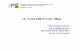 Apresentacao (Slide 1 Ao 13) - Cultura Organizacional