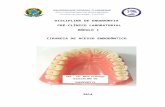 Cirurgia de Acesso Endodontico - 2014