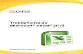 Apostila Basica e Avançada de Excel 2010