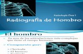 2009 11 Radiografia Del Hombro-2