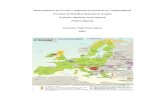 Nacionalismos en Europa y Regiones en Busca de Su Independencia