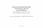 Apostila - Gerenciamento de Servicos na Pratica.pdf