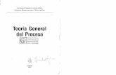 Teoria General Del Proceso - Tomo i - Angelina Ferreyra de de La Rua (1)
