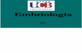 1 Embriologia Introducao UCB