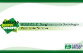 PDF Aula 01 Sociologia Prof