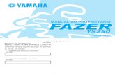 Usuario Yamaha Fazer YS250cc
