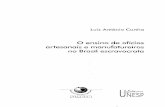 Luiz Antônio Cunha - O Ensino de Oficios Artesanais e Manufat No BR Escravocrata
