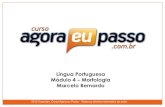 PDF AEP Bancario Portugues Morfologia Modulo4 MarceloBernardo