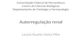 Autoregulação renal II.pptx