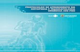 Protocolo Ortopedia Web 2014
