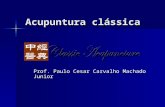 Acupuntura Classica 1 Paulo Cesar FLV 116