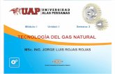 Semana 02 - Cadena Energética Del Gas Natural