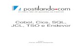 Manual de Programação Em Cobol, Cics, SQL, JCL, TSO e Endevor