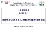 Topicos Dermatopatologia-2014-1sem Alunos (1)