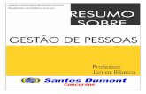 Resumo GestaoPessoas Prof.junior 20120713 104146