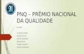 Pnq – Prêmio Nacional Da Qualidade (1)