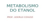 Aula 10 - Metabolismo Do Etanol
